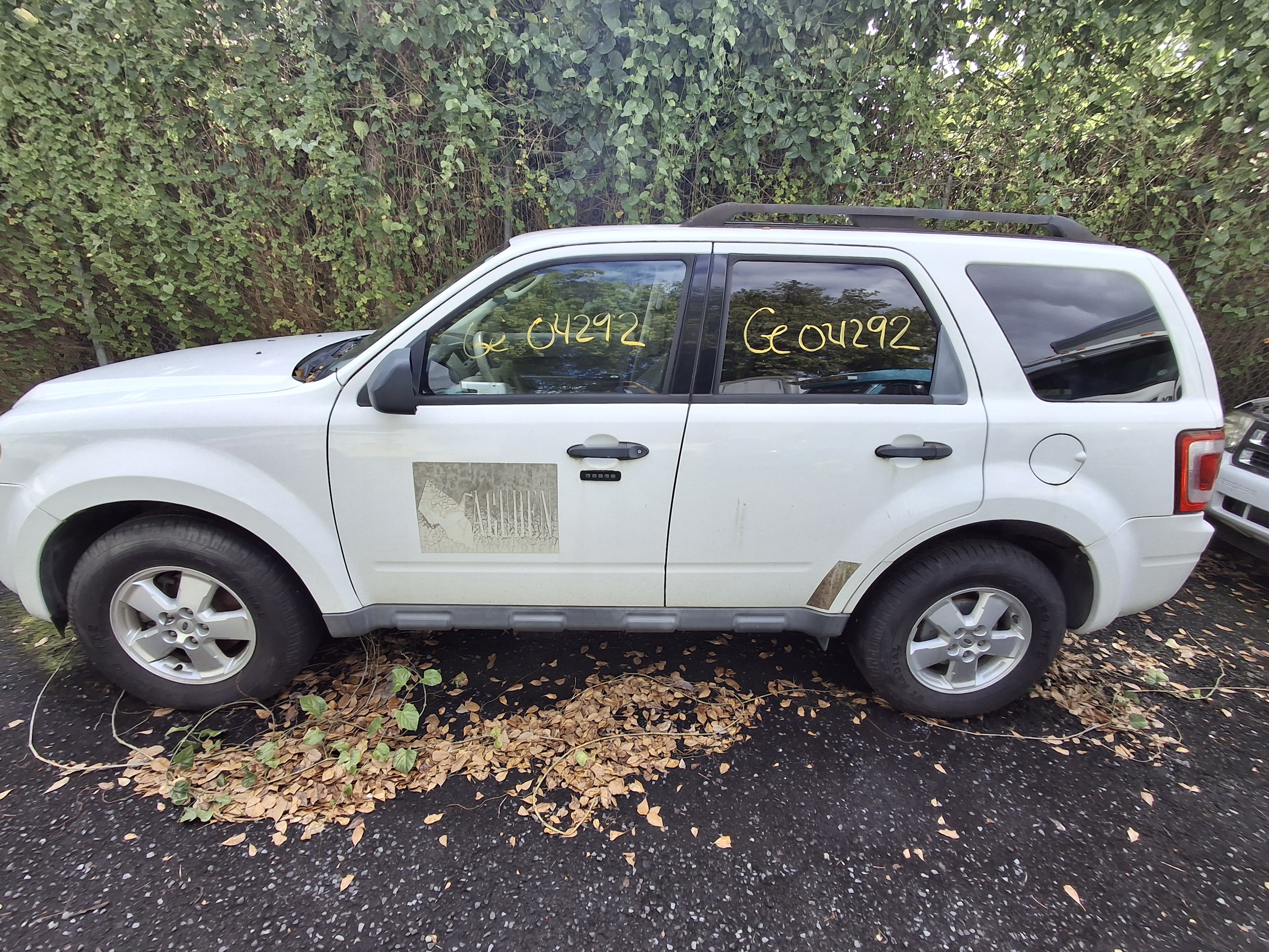Imagen de Auto