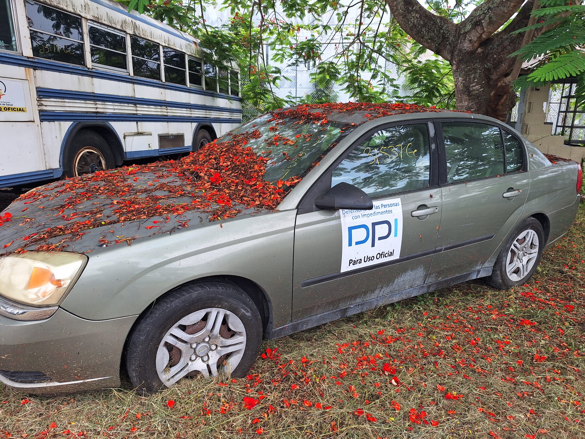 Imagen de Auto