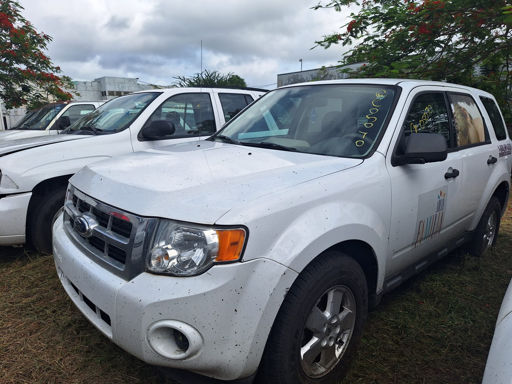 Imagen de Auto
