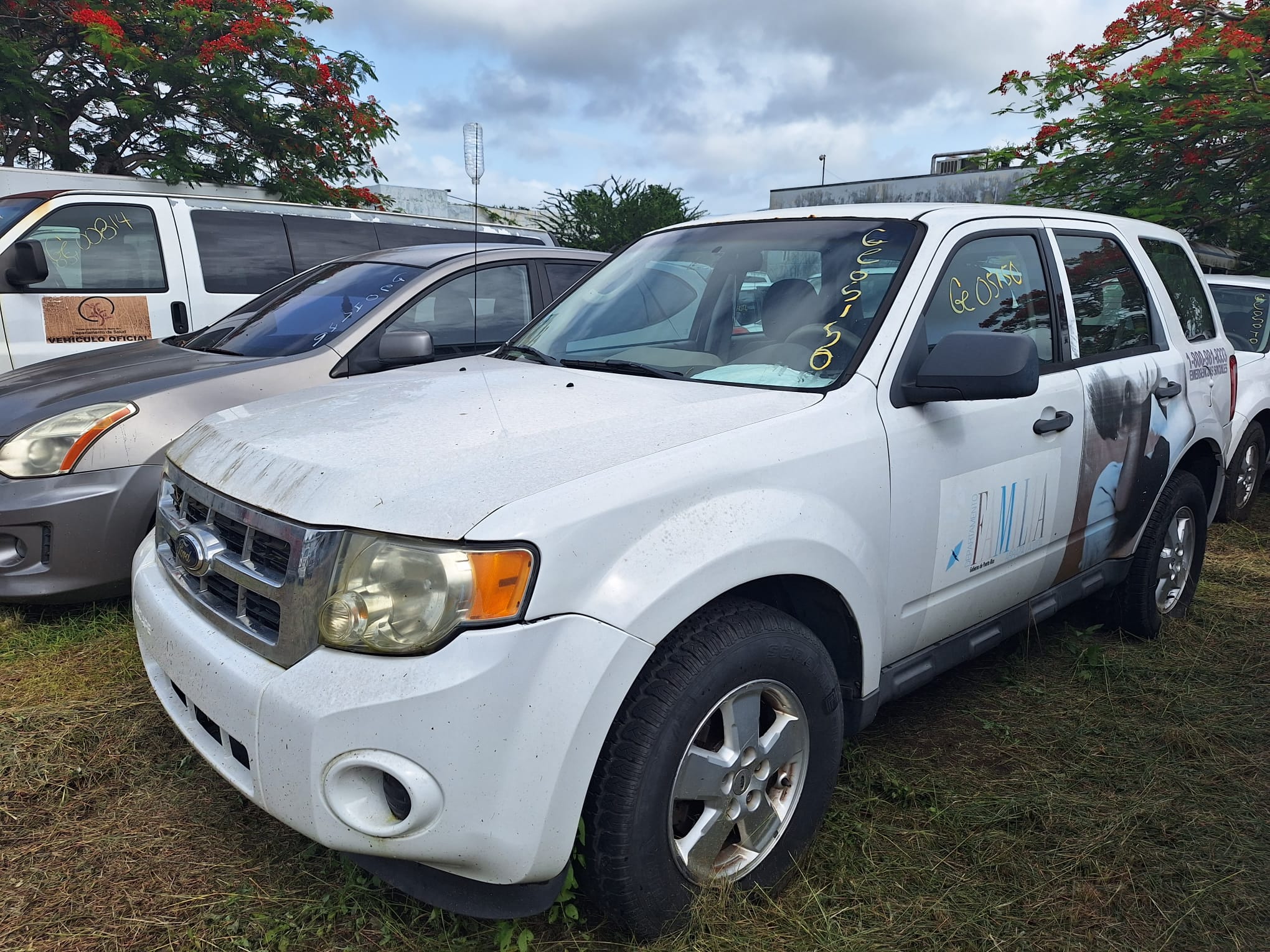 Imagen de Auto