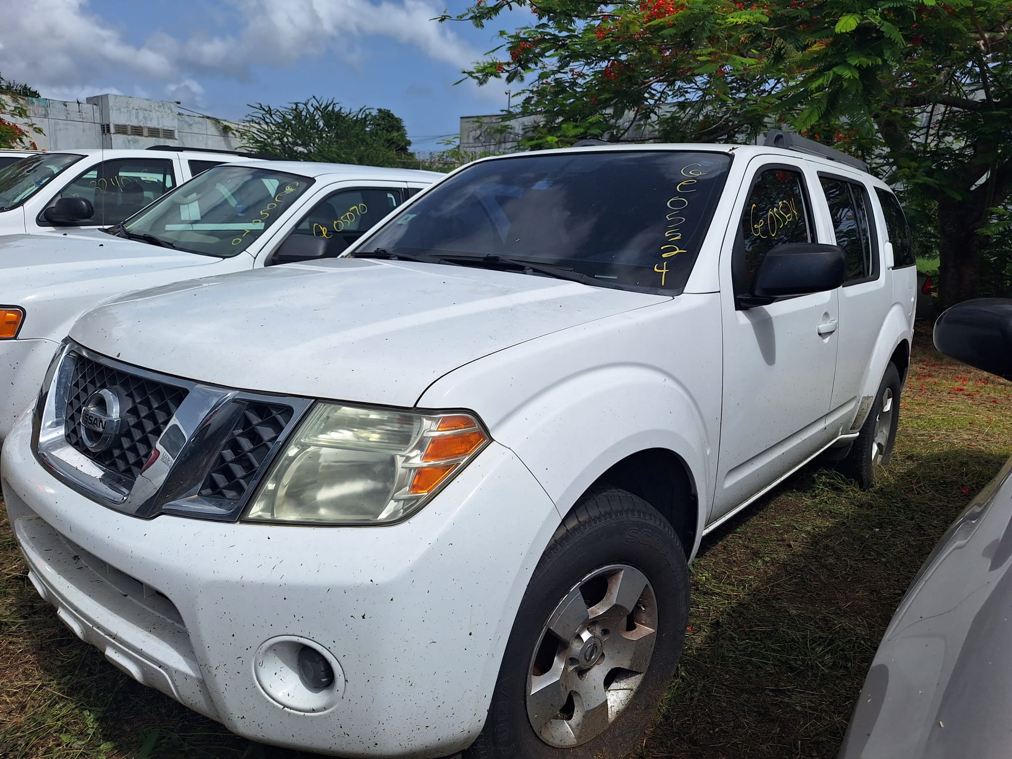 Imagen de Auto